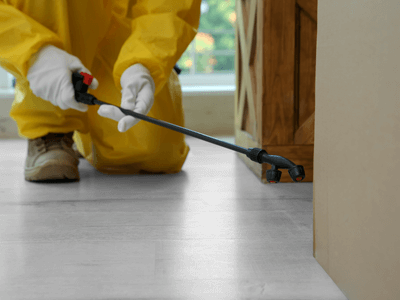 About Roach Removal Pros - cockroach exterminator north miami experts in North Miami